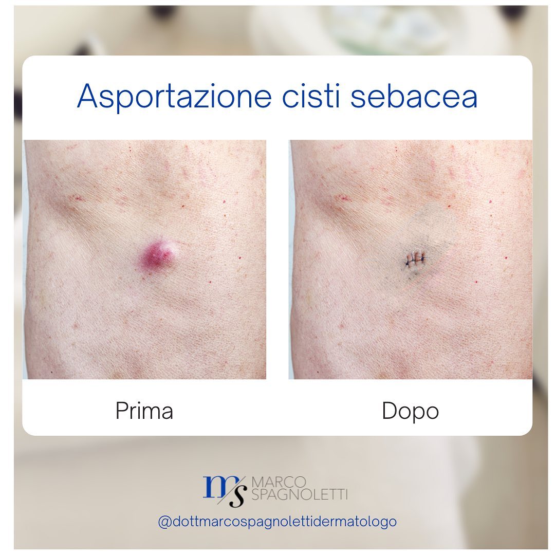 269652793_858835598120558_5364049716179217399_n